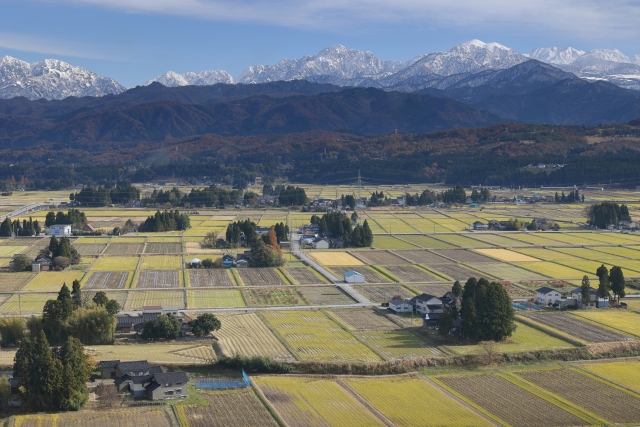 〝国の基〟食と農を守る礎に　実現しよう「協同」「共生」の平和な世界（２）新年度農協協会三役座談会