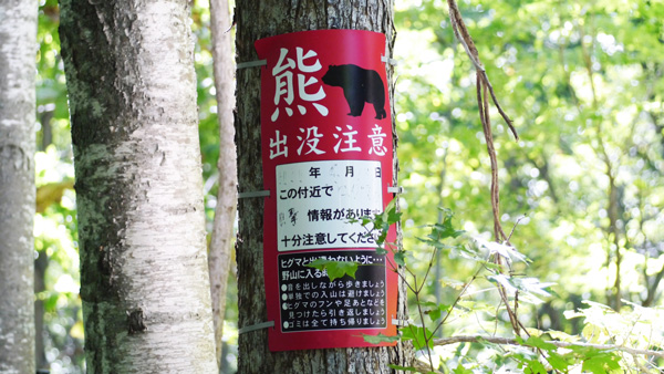 過去最悪の熊被害　捕殺だけで解決するか　自然保護団体がシンポ.jpg