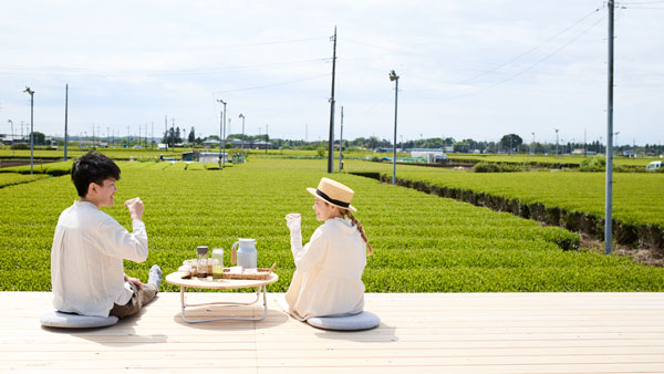 ダイナミックな茶畑の眺望と美味しいお茶を楽しめる「茶の輪」