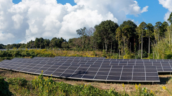 営農型太陽光発電　約２割が営農に支障　農水省