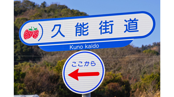 久能街道のいちご海岸通り