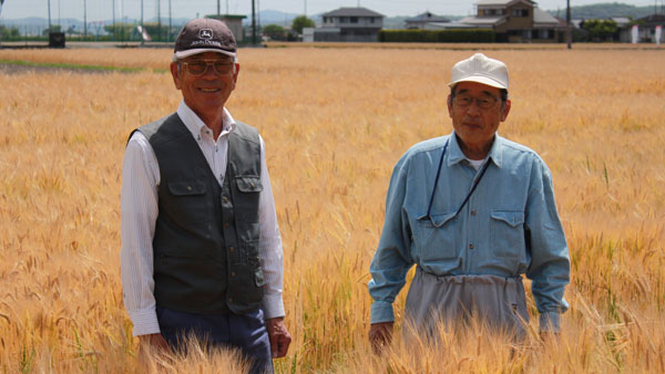 生産者ともち麦畑