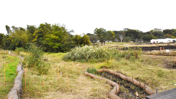 政府出展敷地内の和泉川の流頭部