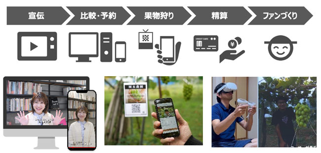 果物狩り農園の一連のフローにブランディングやデジタルを練り込むノウタスのソリューション