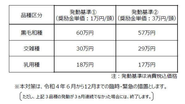 事業の内容