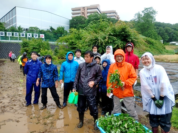 農学部の農業実習でサツマイモの植え付け作業中の江口学長と学生達