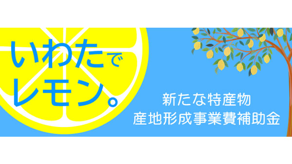 レモン産地化へ　静岡県磐田市で「レモンの定植・栽培講習会」初開催
