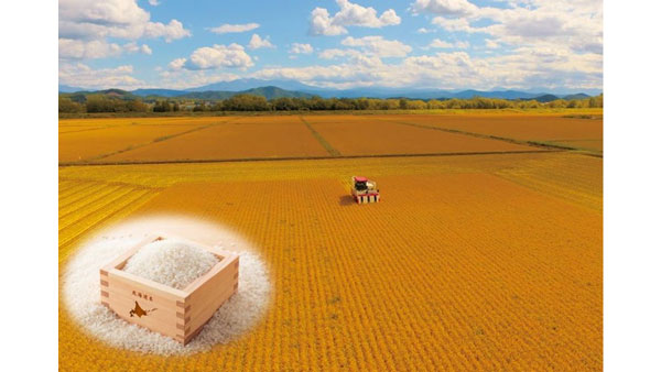「北海道米」など4産品をＧＩ登録　米では初