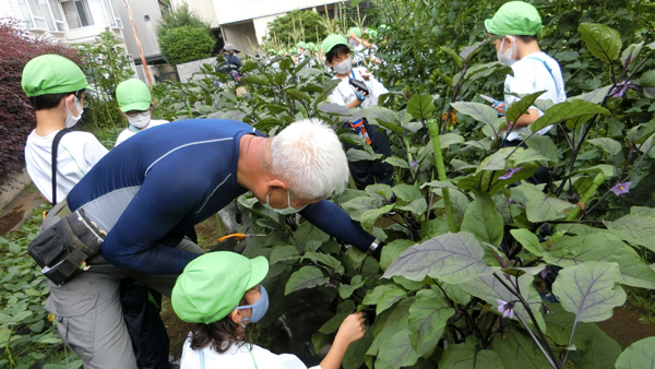 「食」と「農」　将来担う子どもたちにどう伝える　模索する学校現場【校長先生アンケートから】