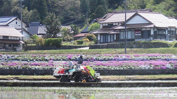 農村づくりに人材育成  新しい農村政策検討会