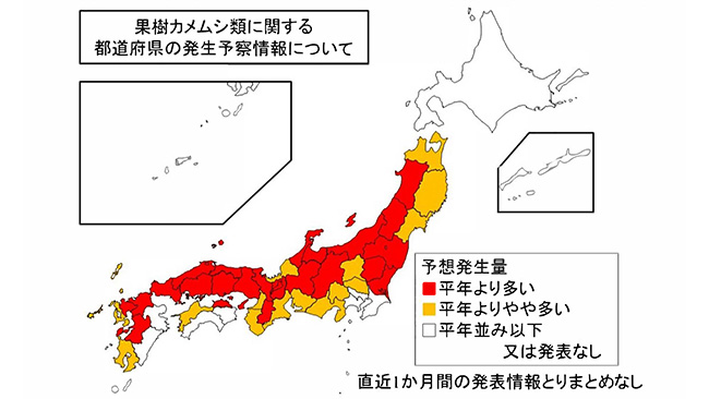 果樹カメムシ類に関する都道府県の発生予察情報