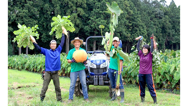 「ＴＨＥ　ＦＡＲＭ」での収穫体験の様子