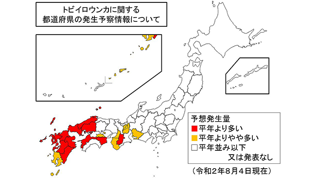 トビイロウンカに関する発生予察情報