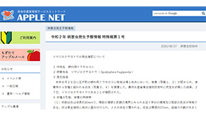 nous20090223_1.jpg