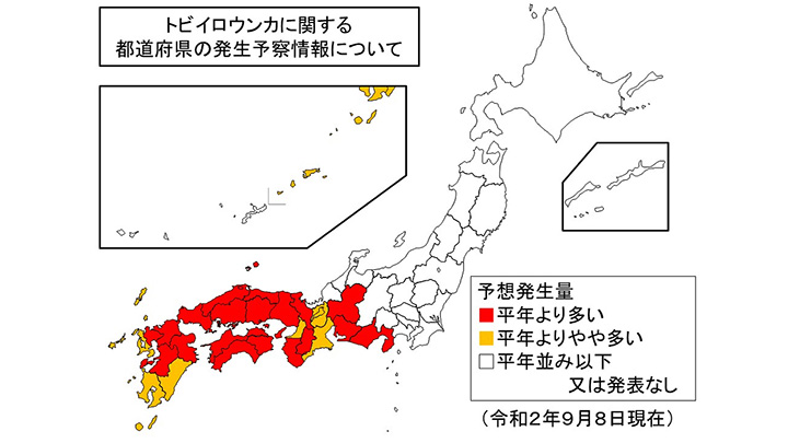 トビイロウンカ東海以西で発生目立つ　9月9日病害虫発生予報　　農水省