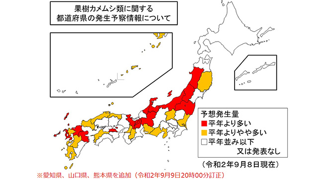 果樹カメムシが全国的に発生　27府県で増加を予想　農水省