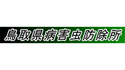 トビイロウンカの坪枯れ増加を懸念　鳥取県病害虫防除所