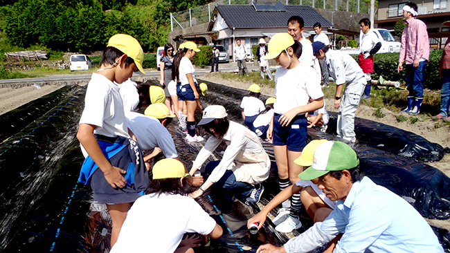 「食育」で給食用の野菜を栽培する学童（ＪＡ静岡市提供）