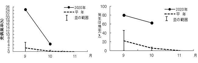 「黒斑・褐斑病の発病葉率の推移」「 黒斑・褐斑病の発生ほ場率の推移」