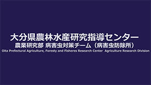 nous20112527_s.jpg