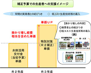 補正予算での生産者への支援イメージ