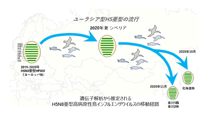 香川の鳥インフルエンザ　欧州から－農研機構