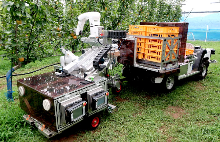 ニホンナシV字ジョイント樹を収穫中の収穫ロボットプロトタイプ