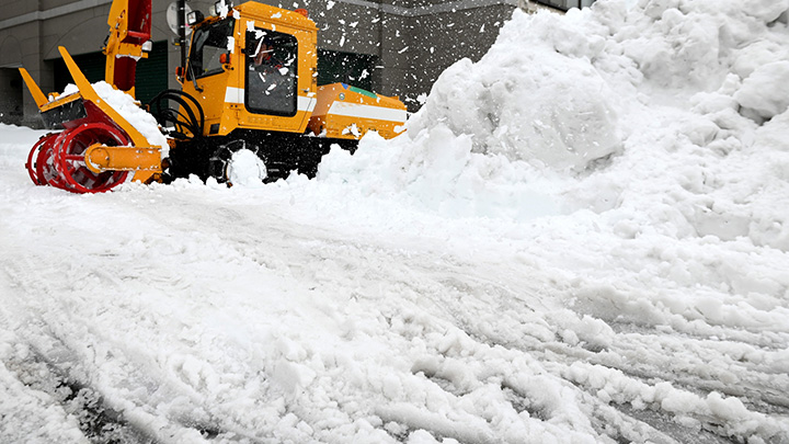 大雪の農林水産被害33億円－農水省