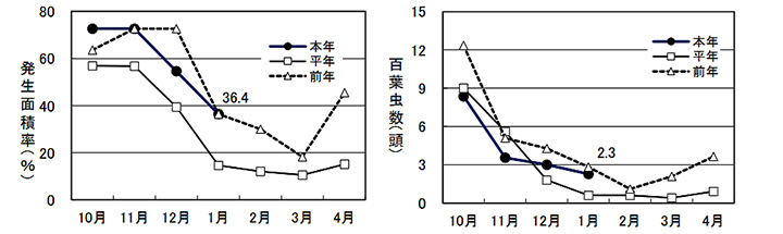 発生面積率の推移（左）と100葉当たり虫数の推移