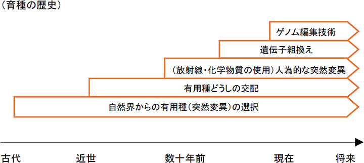 育種の歴史