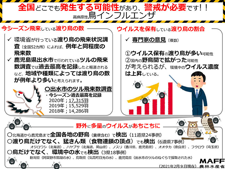 【鳥インフル】千葉県　9、10例目発生－殺処分400万羽超