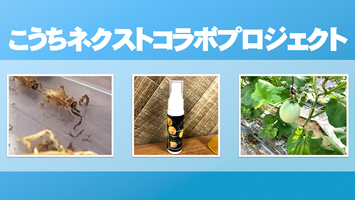 ゆずやメロン栽培など3つの新事業開発プロジェクト開始　高知県