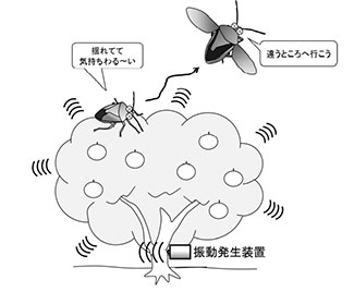 チャバネアオカメムシを追い払うイメージ