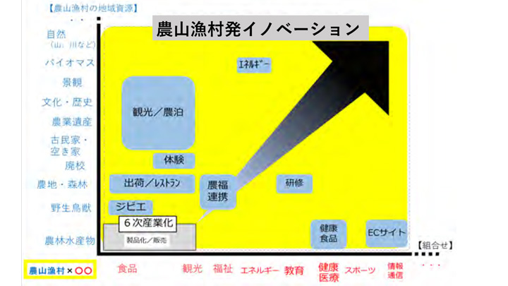 農山漁村初イノベーション