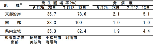 早期水稲におけるいもち病（葉いもち）の調査結果