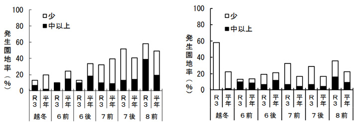 ハダニ類の時期別発生園地率の推移（目通り、左：ナミハダニ、右：リンゴハダニ）