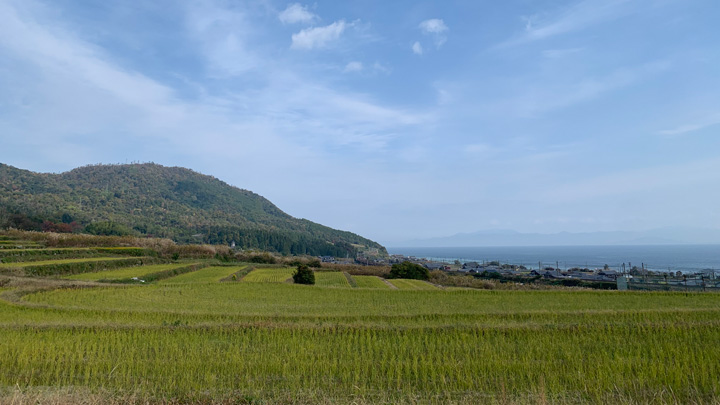 高島市鵜川の棚田（冬）