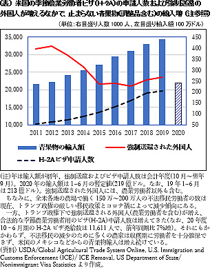 (表)　米国の季節農業労働者ビザ（H-2A）の申請人数および強制送還の 外国人が増えるなかで、止まらない青果物(調整品含む)の輸入増 (注参照)