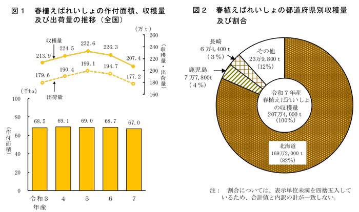 春植えばれいしょ 高温と少雨で全国8%減
