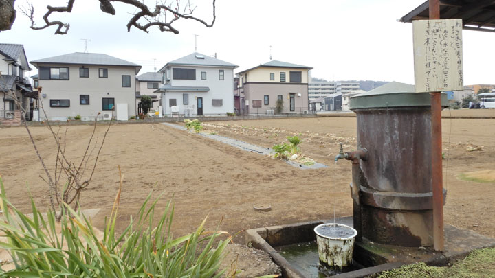 【寄稿】ＪＡはだの（神奈川）宮永均組合長　特定生産緑地待ったなし（1）　都市農地保保全活用推進を