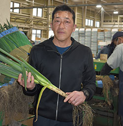 ねぎ部会の渡辺一浩部会長