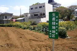 東京都板橋区の生産緑地