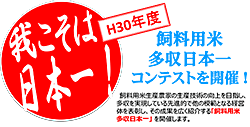 【３０年度】我こそは日本一！飼料用米多収日本一コンテストを開催！（ポスターの一部）