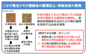 農水省30年度戦略的プロジェクト再公募のイメージ図