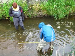 ピンポン玉を用いた流速の簡易な測定手法