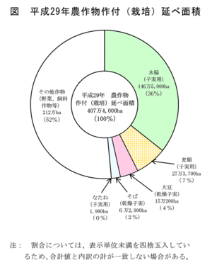 図　平成29年農作物作付（栽培）延べ面積