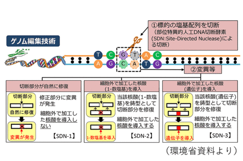 ゲノム編集技術（環境省資料より）