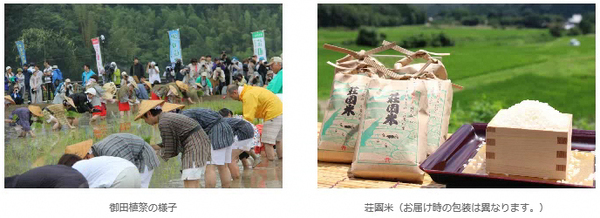 御田植祭の様子（左）と荘園米