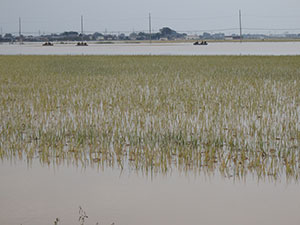 茨城県の豪雨被害