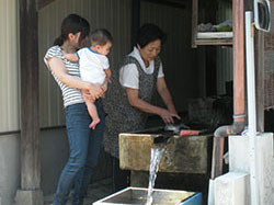 岐阜県郡上市の水舟